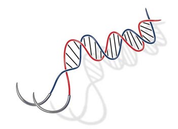 suture needles DNA strand