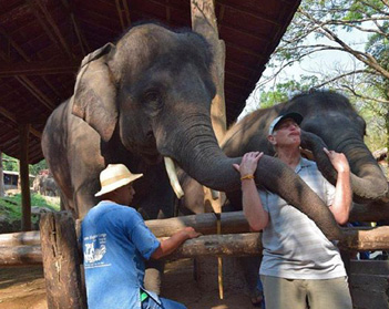 Ron Zuker and elephant